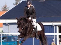 IMG_7000_web